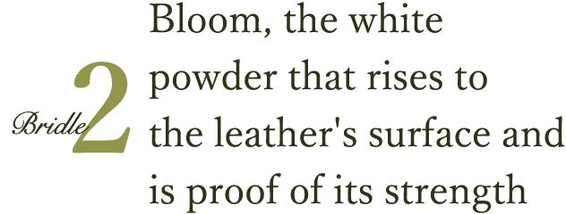 Bloom, the white powder that rises to the leather's surface and is proof of its strength