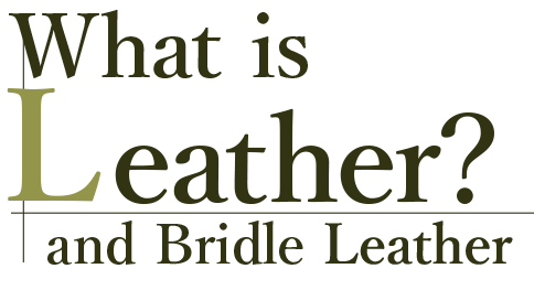 What is leather? and Bridle Leather.